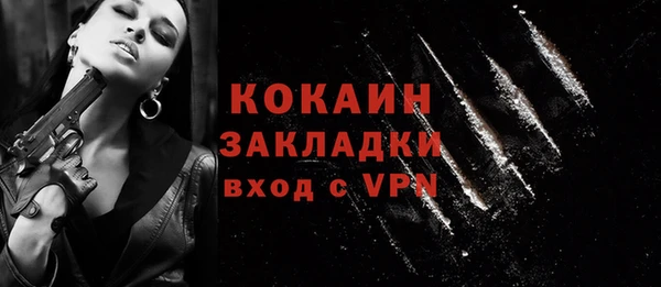 сатива Осинники