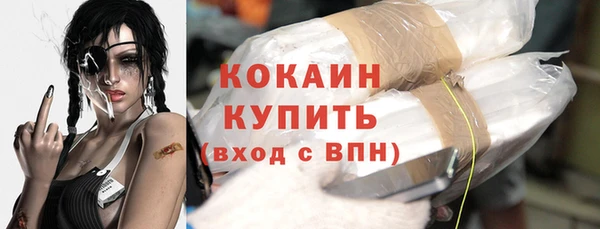 сатива Осинники