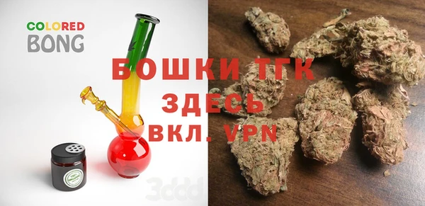 сатива Осинники