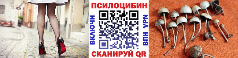 Псилоцибиновые грибы мицелий  Купить закладки  Новопавловск 